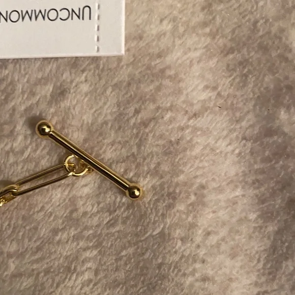 Uncommon James Gold-Plated Necklace - Picture 8 of 9